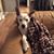 Ann Pesce Adams's profile image