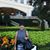 Pat Gloria Duran's profile image