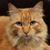 Cherie Fry's profile image
