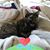Karla Pappas's profile image