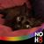 Carola Tall's profile image