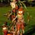 Lucille Boardman's profile image