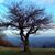 Anne Erickson's profile image