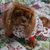 Marcia Lashbrook's profile image