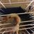 Sandy Hope-Briner's profile image