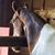 Marybeth Ellis Bohner's profile image