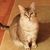 Karen Bieker-Laskowski's profile image