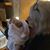 Darlene Yancey's profile image