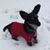 Rachel Burke's profile image