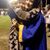 Kassie Bradley's profile image
