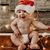 Diana Smothers's profile image
