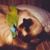 Laura Frey's profile image