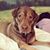 Emily VanderJagt's profile image