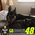 Robin Sawyer's profile image