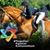 Stefanie Buchman Blais's profile image