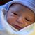 Owen Reppert's profile image