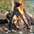 Peggy Harmon Godleski's profile image