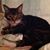Saundra Nicholson's profile image