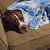 Judy W Love's profile image