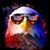 Allen Dollens's profile image