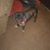 Kevin Northington's profile image