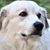 Ronald Bennington's profile image