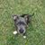 Jonathan Keach's profile image