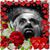 Annette Marie Dakini Crawford's profile image