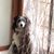Mary Geist's profile image