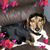 Shannon Thibodeaux's profile image