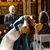 Stephanie Fallman's profile image