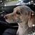 Kelly Kraft Daoud's profile image