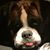 Gayle R. Devine's profile image