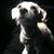 Kristi L Lawhead's profile image