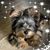 Barly Redsar's profile image