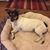 Marcia Guin's profile image