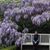 Debbie Kelly's profile image