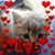 Gail Rugarber's profile image
