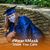 Marne Lugris LaForge's profile image