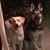 Kathleen Whittington's profile image