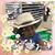 Chelis Castellanos's profile image