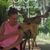Martita Morales Sageser's profile image