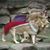 Deena M Bumbry's profile image