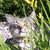 Bernadette Rubbo's profile image