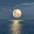 Bobby Reardon's profile image