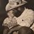 Amelia Mooney Brackett's profile image