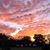 Judi Lynn Durham's profile image