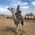 Marisa P Driscoll's profile image