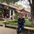 Gh Reza Dabiri's profile image