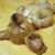 Pupo Torres's profile image